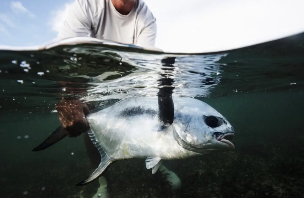 Casa Cangrejo Xcalak Fly Fishing Adventure