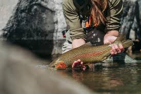 Arbor Anglers Warranty Information