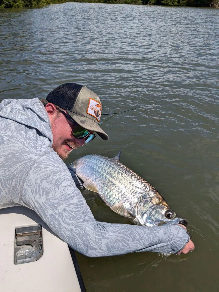Puerto Rico Tarpon