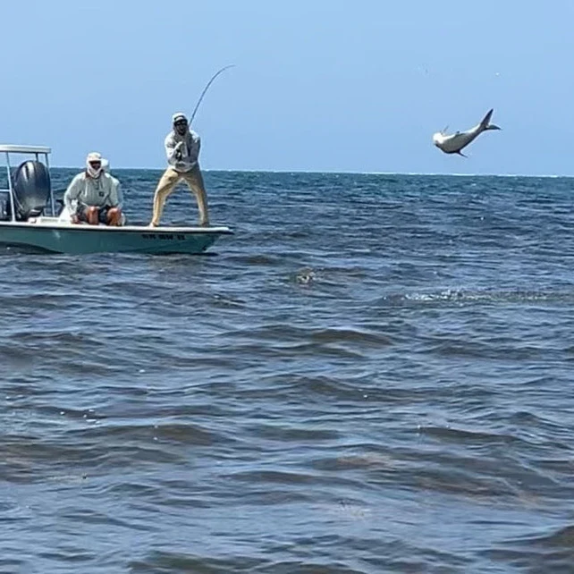 Tarpon fishing on the flats in Puerto Rico.